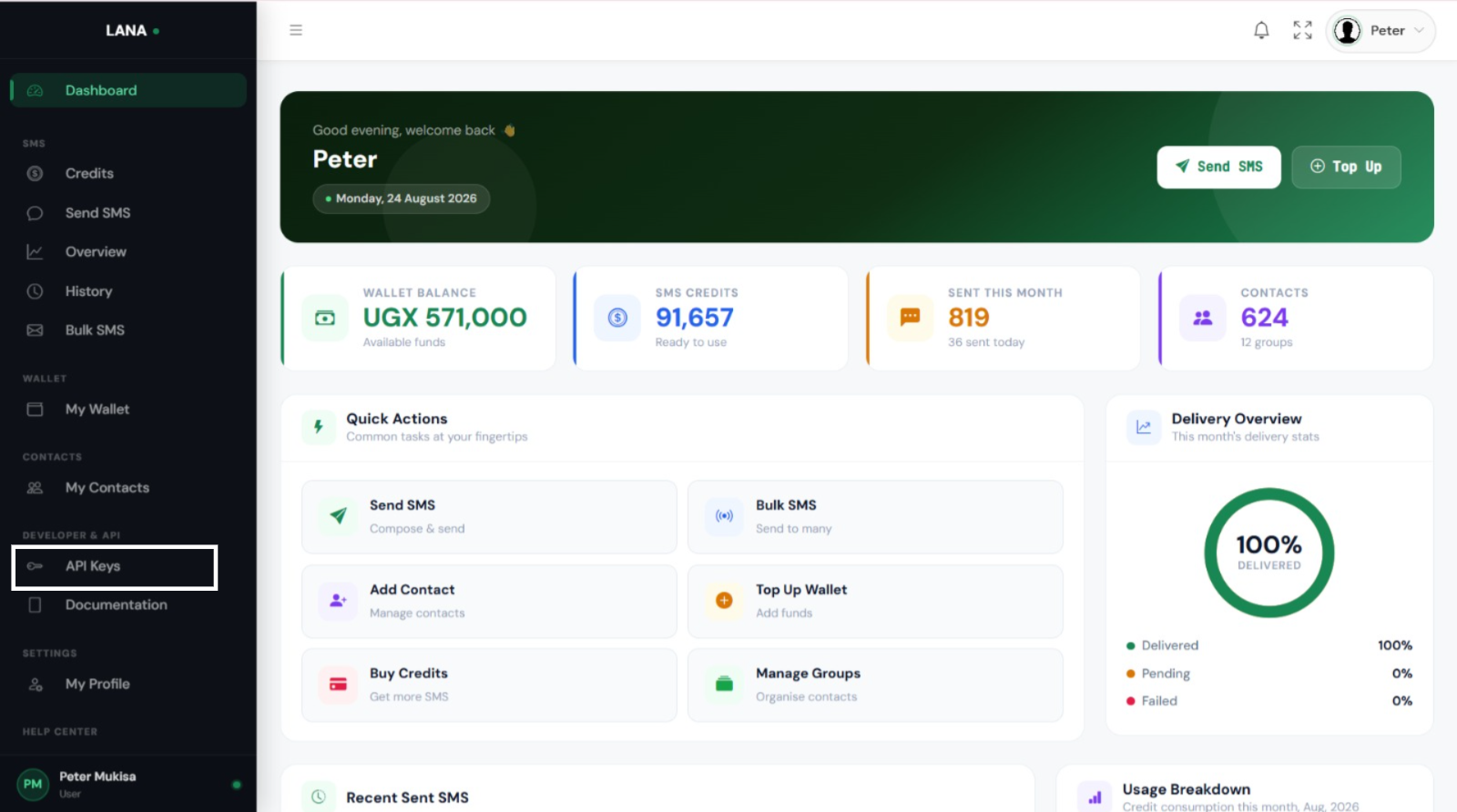 Developer & API menu